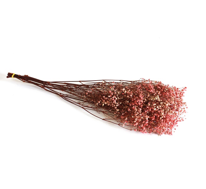 Gypsophila - stabilizovaná- Pink zväzok